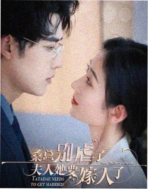 春日告白 爱情剧免费观看海报