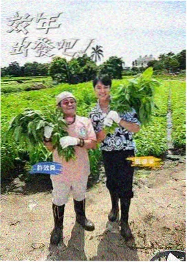 山海食记 综艺免费观看海报